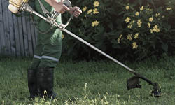 Serviços de Jardingem: Homem em pé aparando grama com equipamento específico.