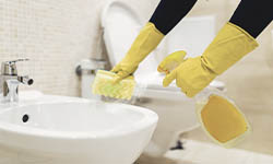 Limpeza pesada: Close em mãos usando luvas amarelas limpando um vaso sanitário