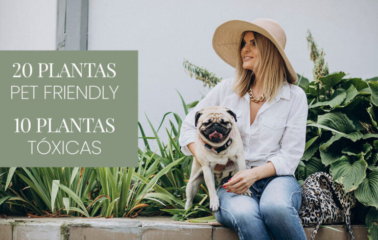 Plantas amigáveis ou não para nossos pets